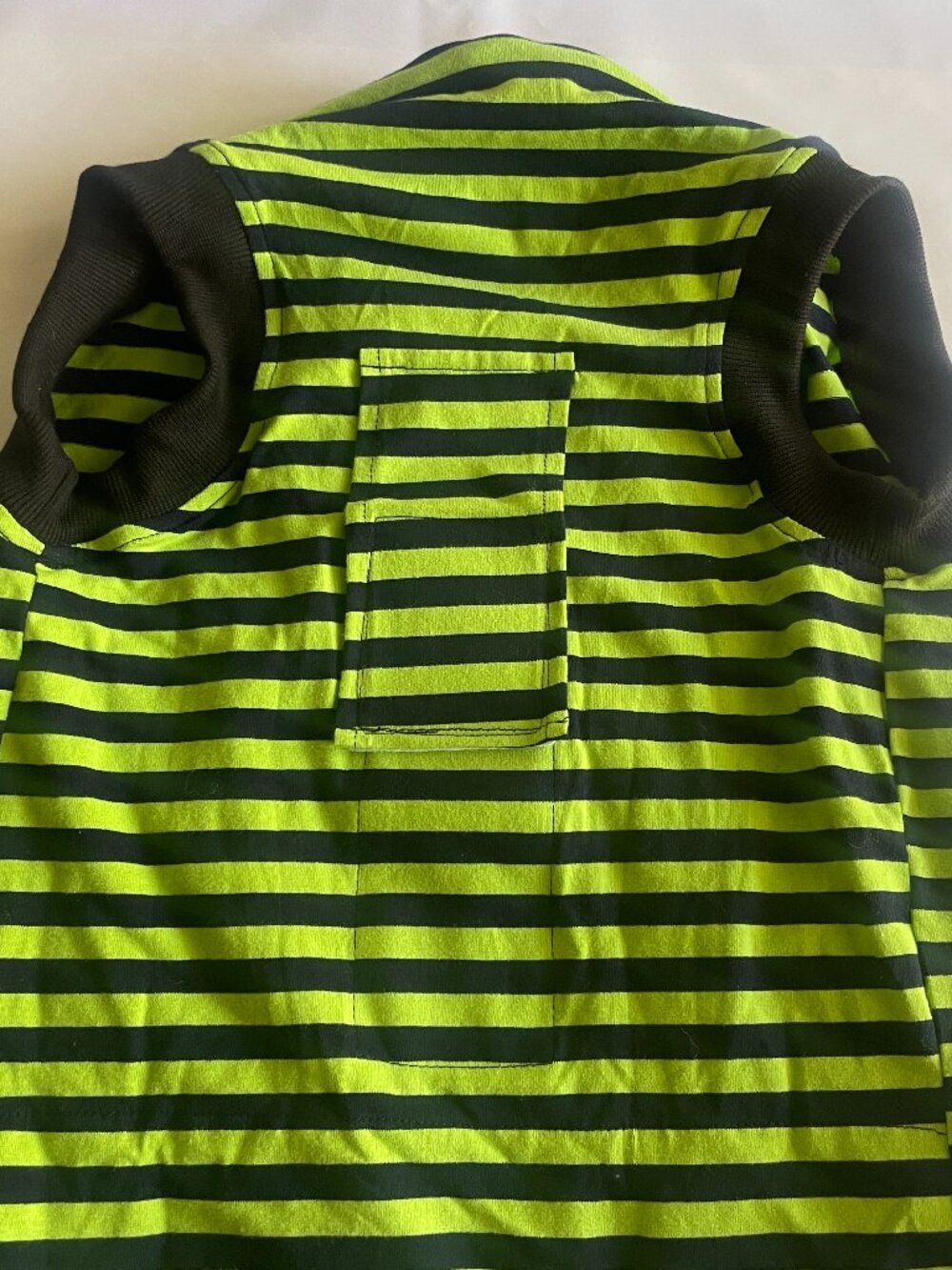 Striped Dog Shirt